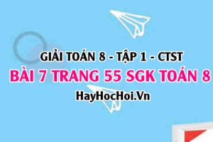 Giải bài 7 trang 55 Toán 8 Tập 1 SGK Chân trời sáng tạo